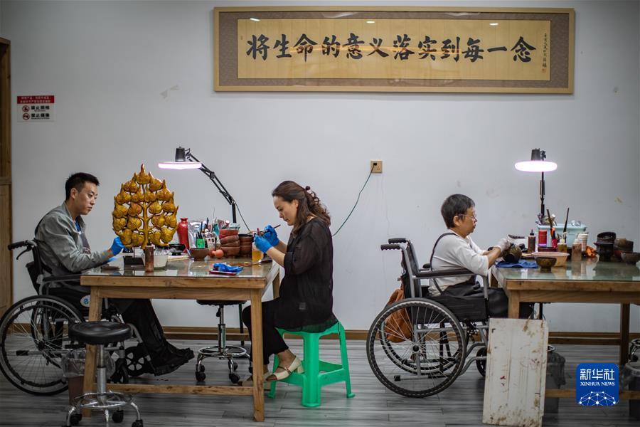 五龙争霸在线下载
